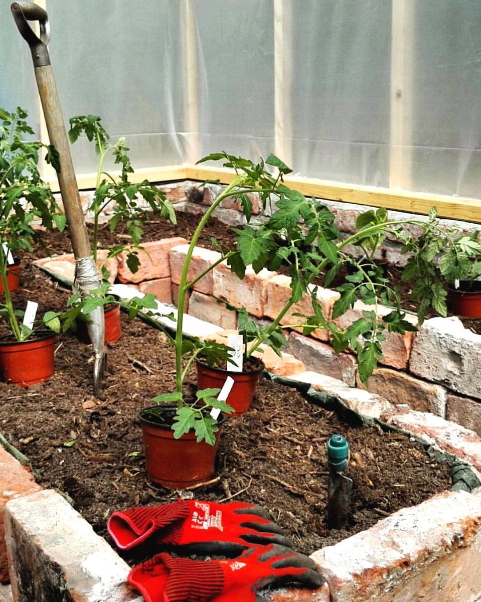 Пленочная теплица на деревянном каркасе - фото 10