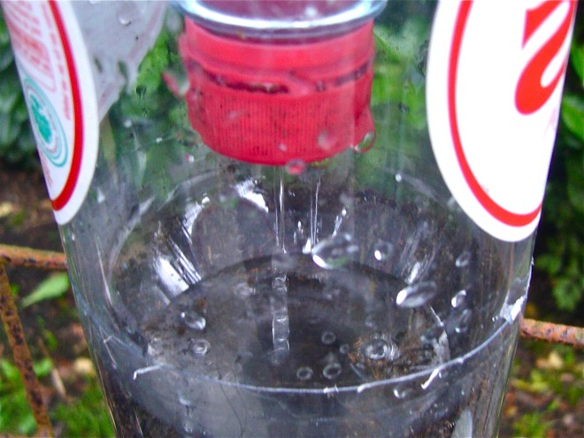 Вертикальный сад из пластиковых бутылок - фото 10