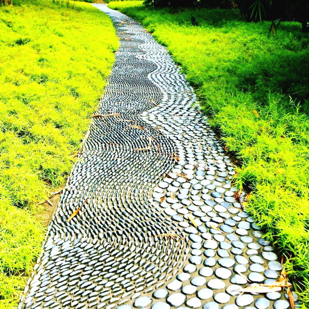 Садовые дорожки своими руками - фото 2