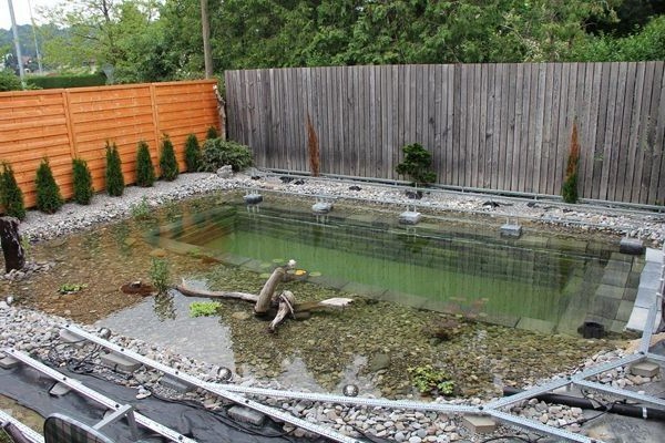 Бассейн в пруду - фото 13