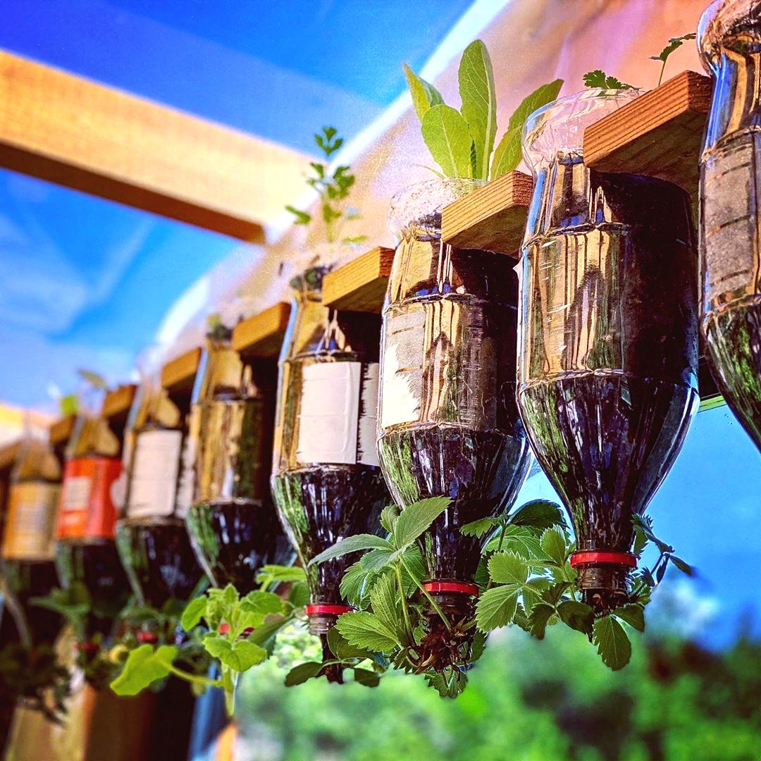 Оригинальные идеи для вертикального сада - фото 6