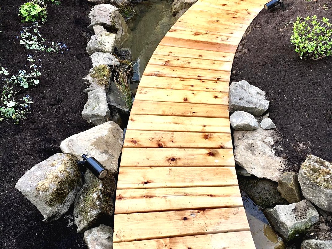 Трансформация садового участка по истечении восьми недель - фото 10