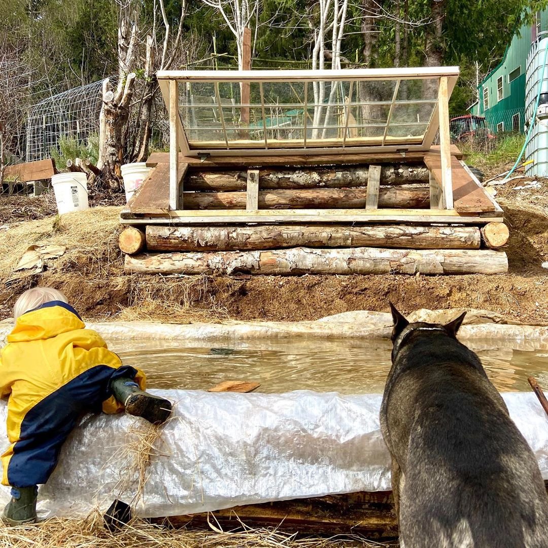 Невысокие грядки из стволов деревьев - фото 5