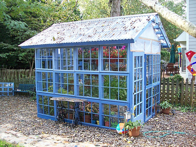 Оранжерея из старых окон - фото 5