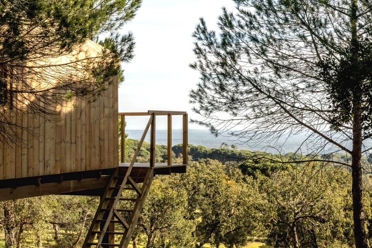 Домик на дереве своими руками - фото 3