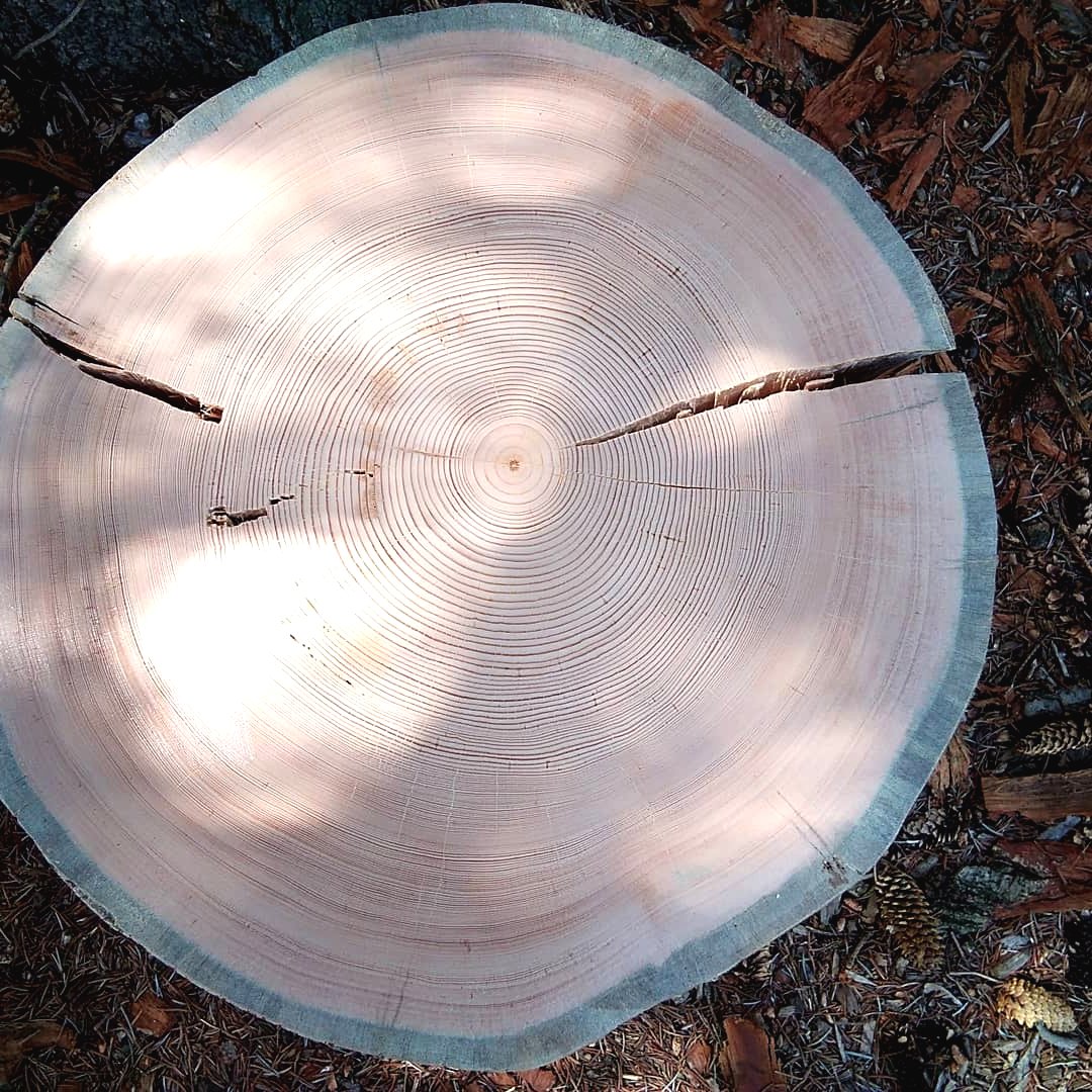 Оригинальная табуретка из бревен и дров. - фото 3