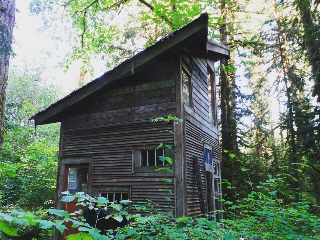 Дом с односкатной крышей - фото 7