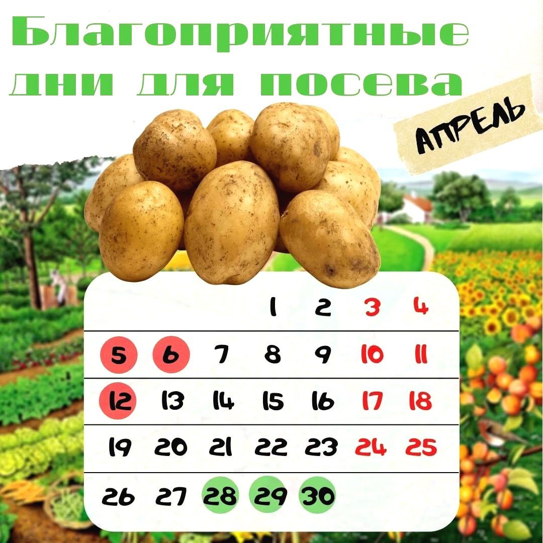 Лунный календарь на апрель - фото 6