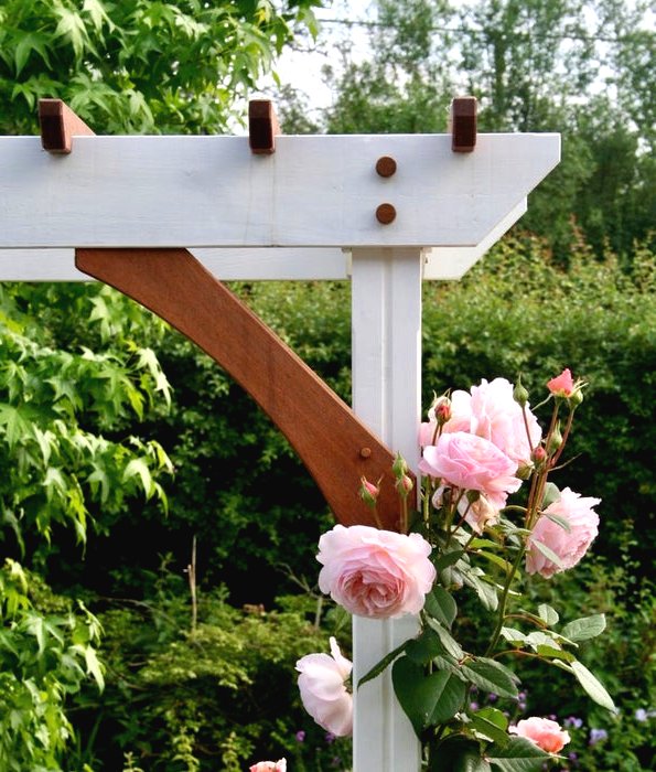 Пергола для роз - фото 7