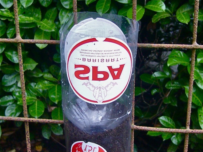 Вертикальный сад из пластиковых бутылок - фото 9