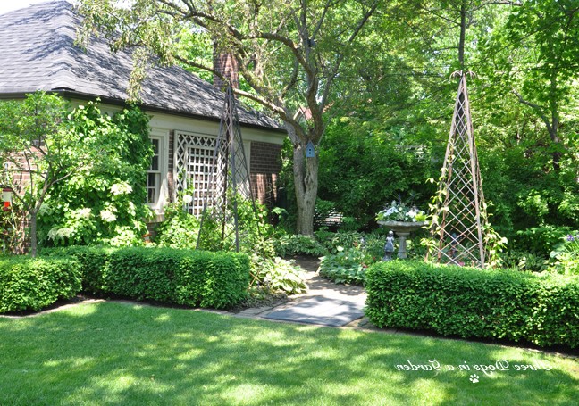 Затерянный сад - фото 5