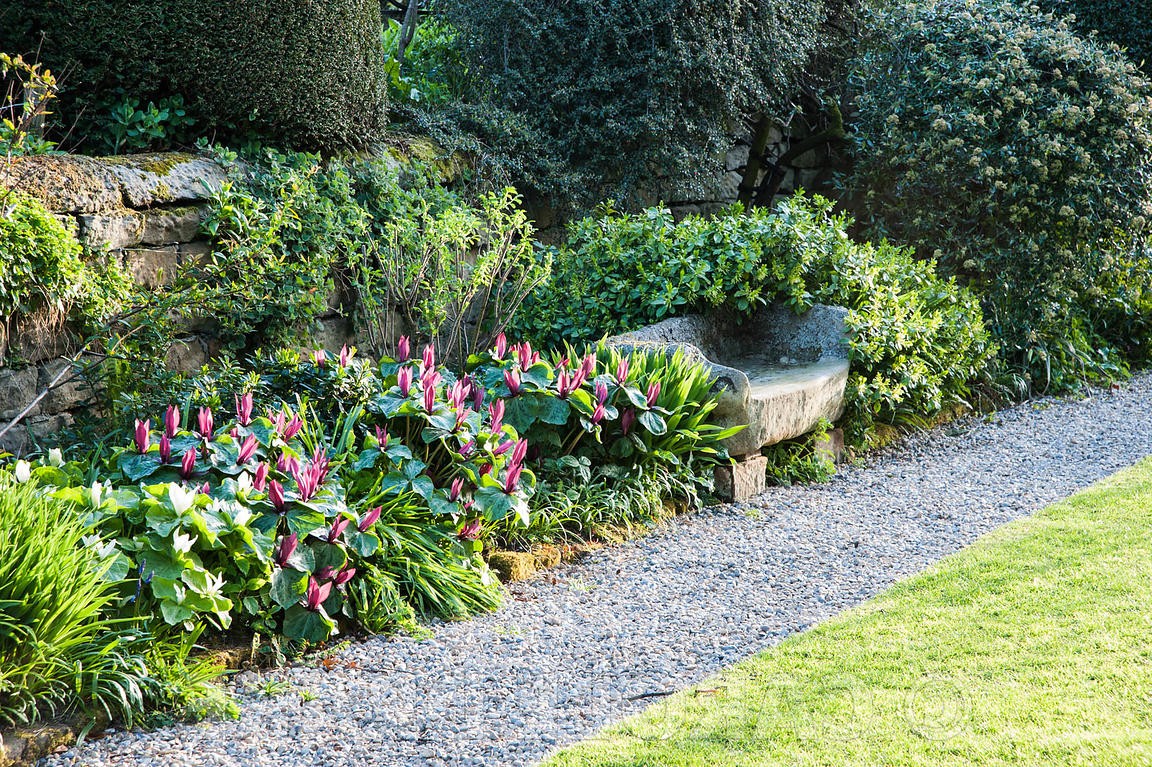 Йоркские ворота - дизайн сада - фото 4