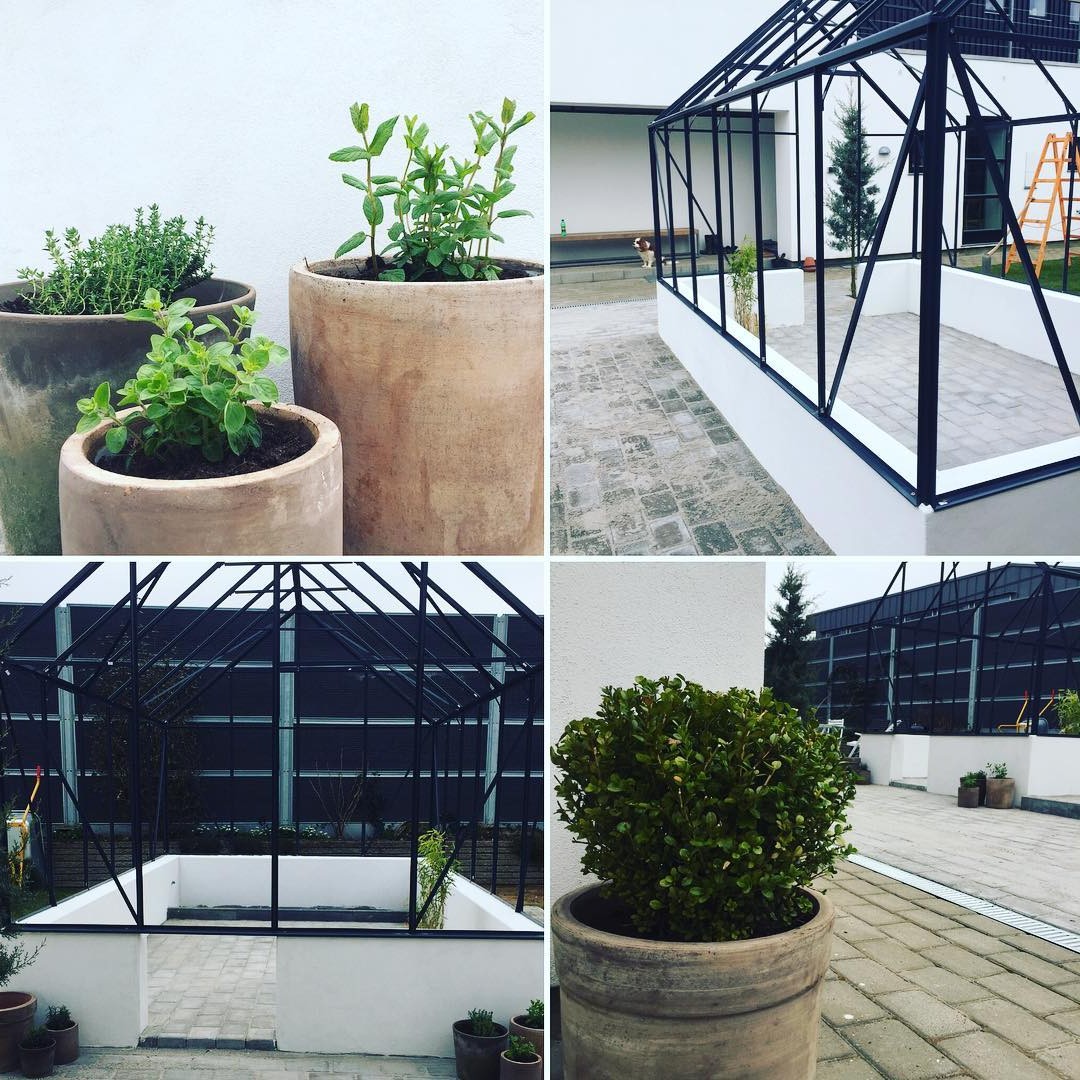 Оранжерея - фото 5