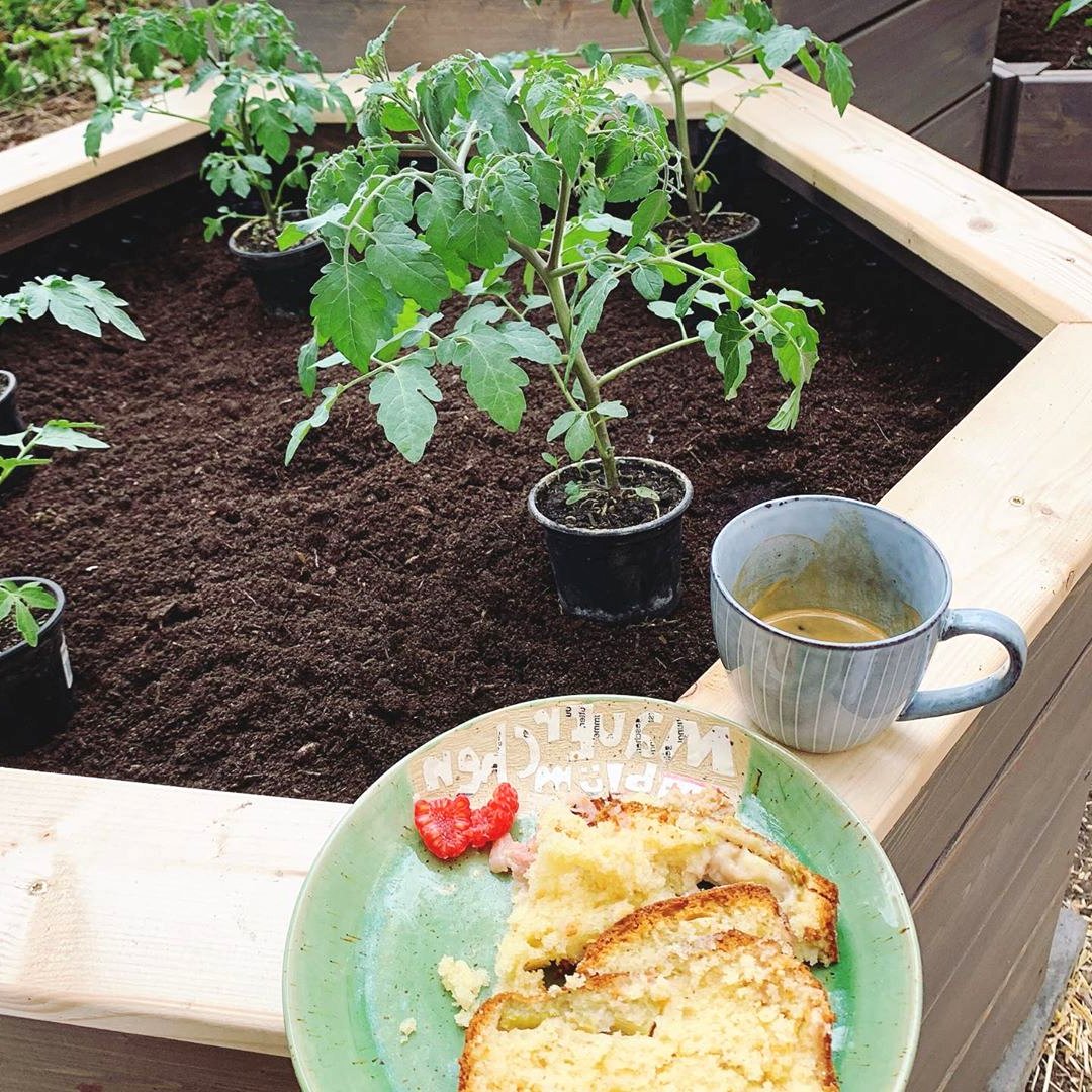 Высокая грядка из дерева - фото 20