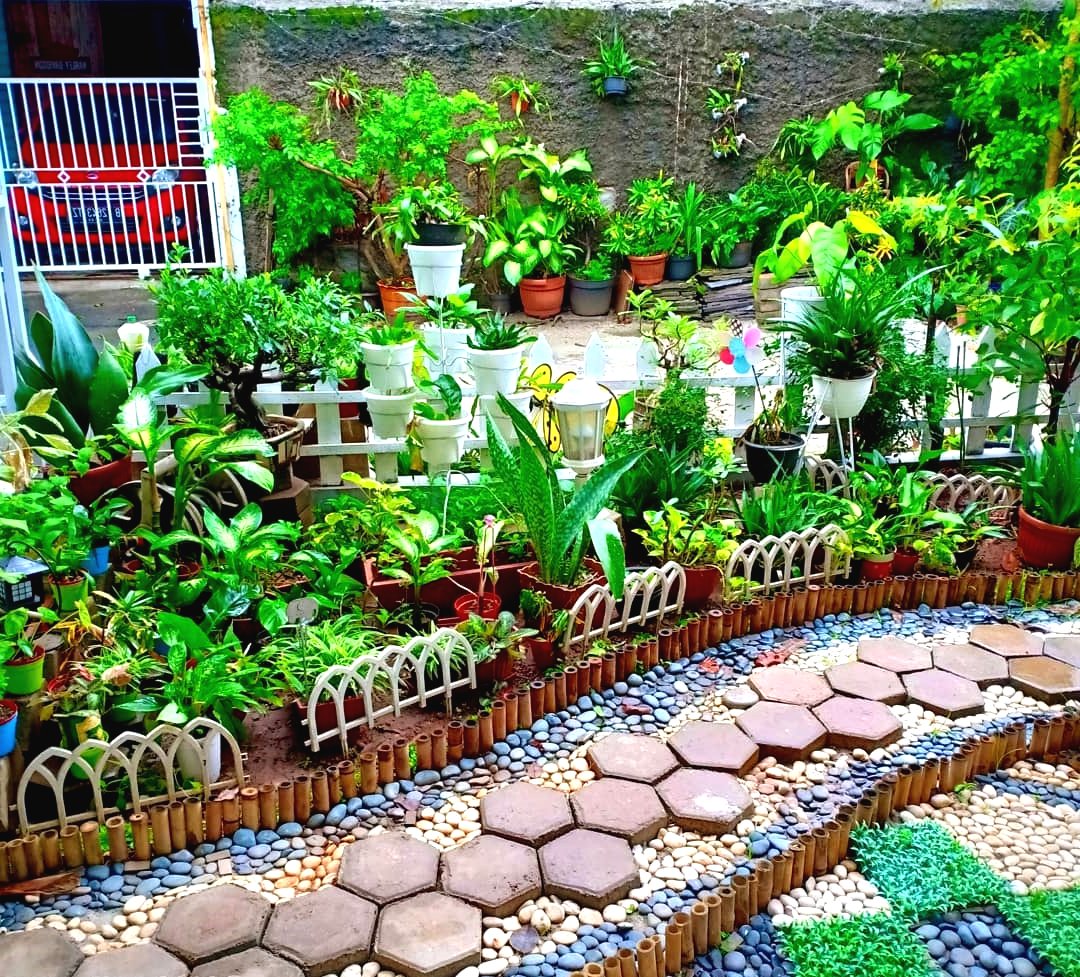 Оригинальная садовая дорожка - фото 7