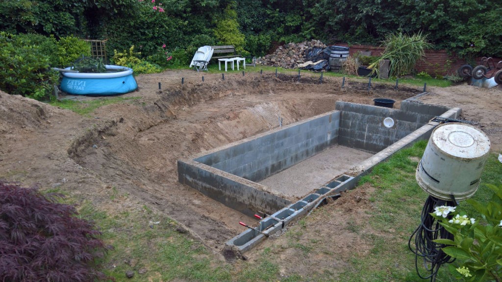 Бассейн + пруд - фото 5