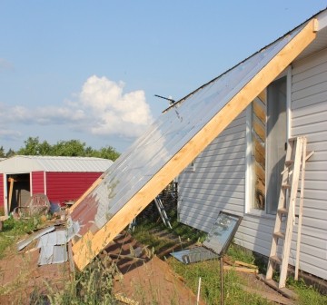 Парник - фото 9