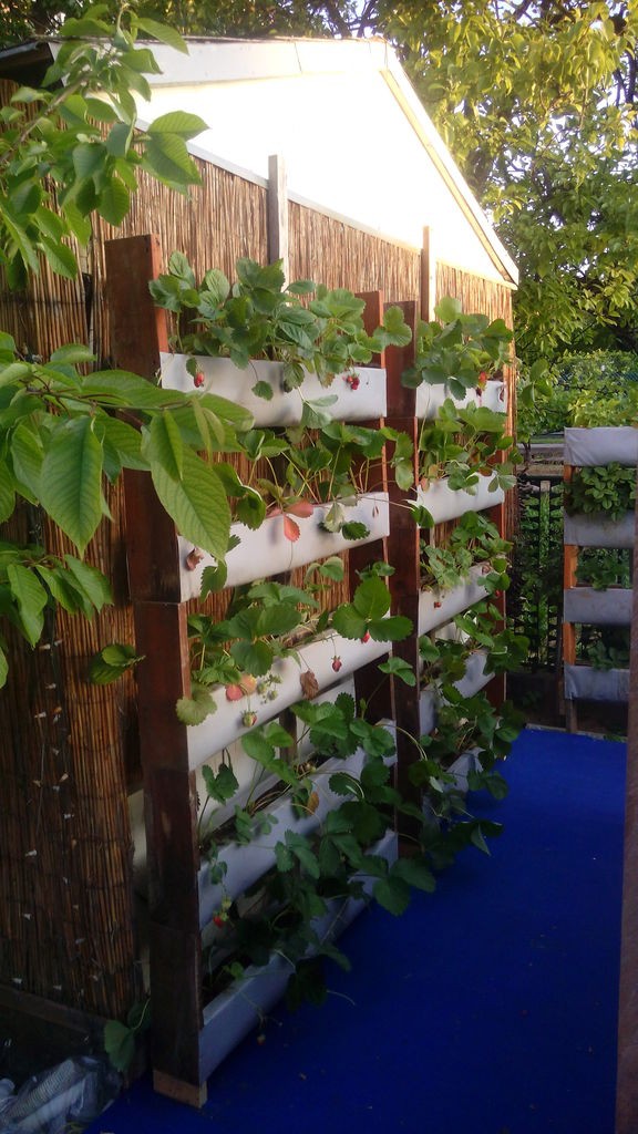 Вертикальные грядки - фото 2