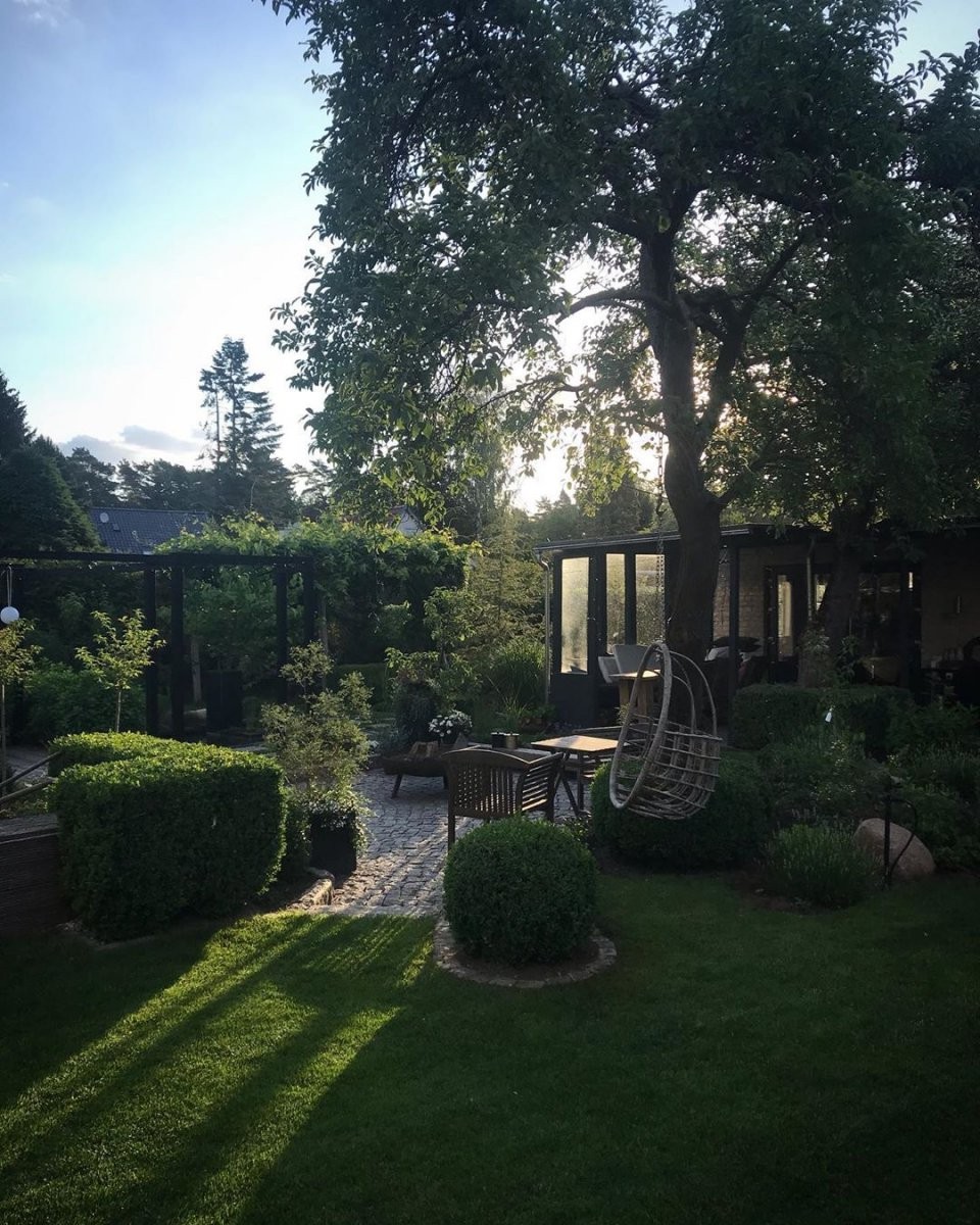 Уютный сад - фото 3