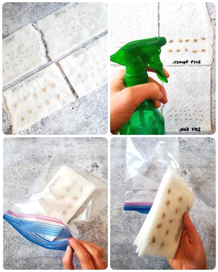 Когда сажать рассаду - фото 2