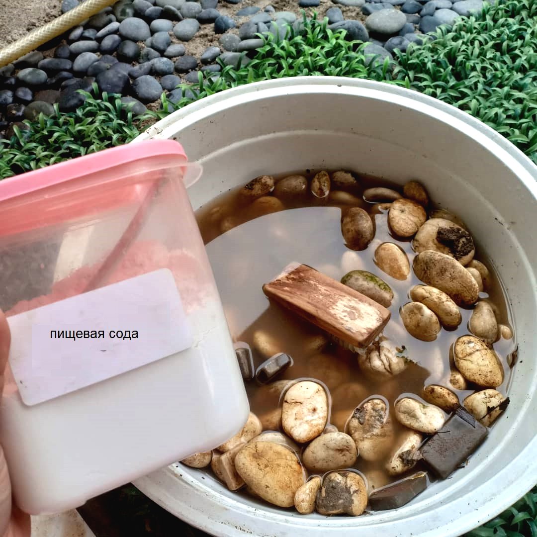 Оригинальная садовая дорожка - фото 2