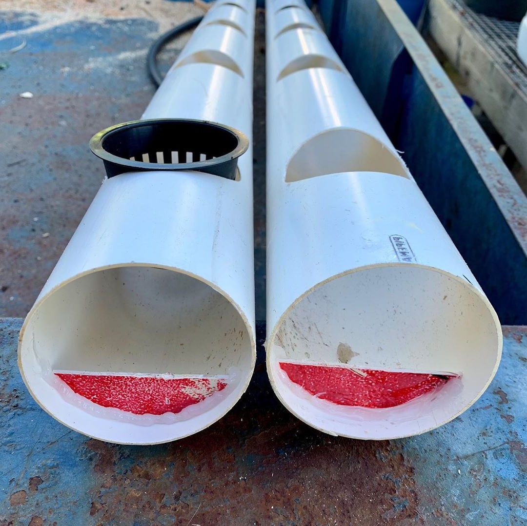 Гидропоника - фото 8