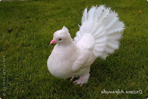 Голубь из пластиковых бутылок - фото 2