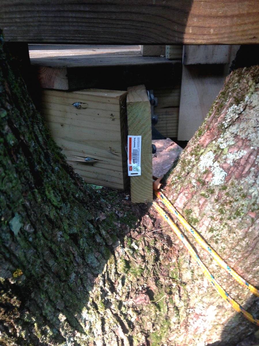 Многоуровневый домик на дереве для детей - фото 9