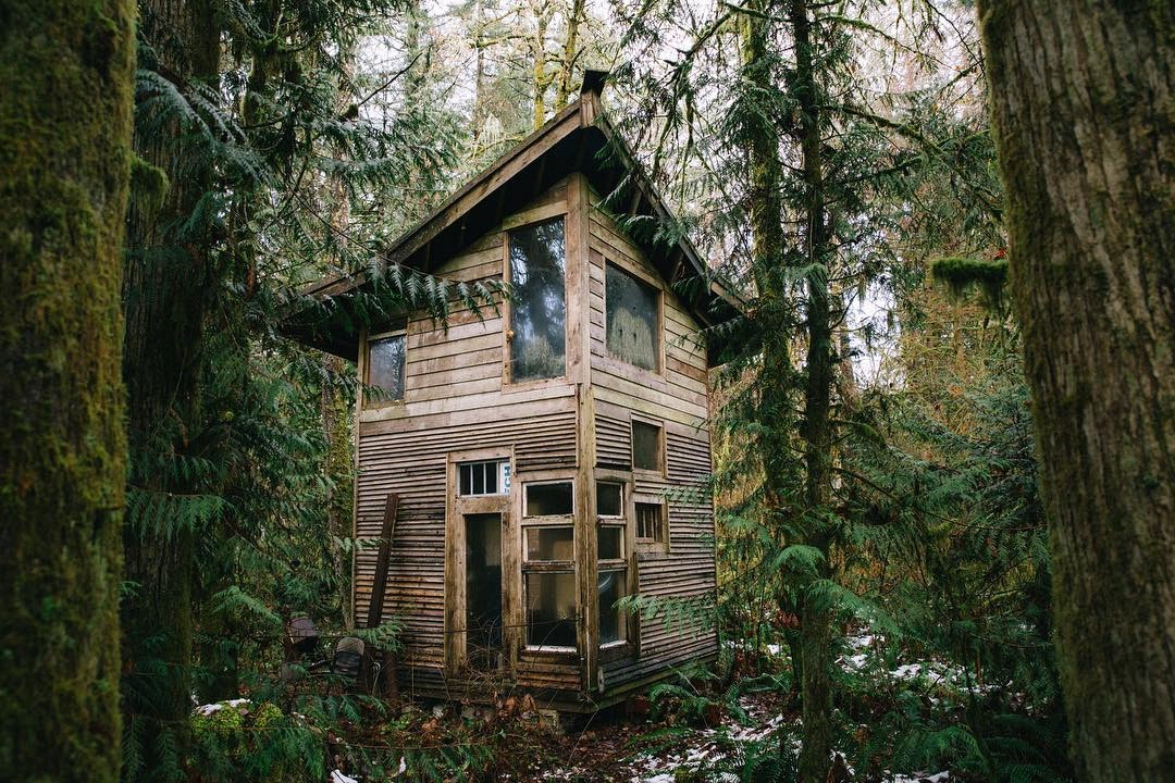 Дом с односкатной крышей - фото 3