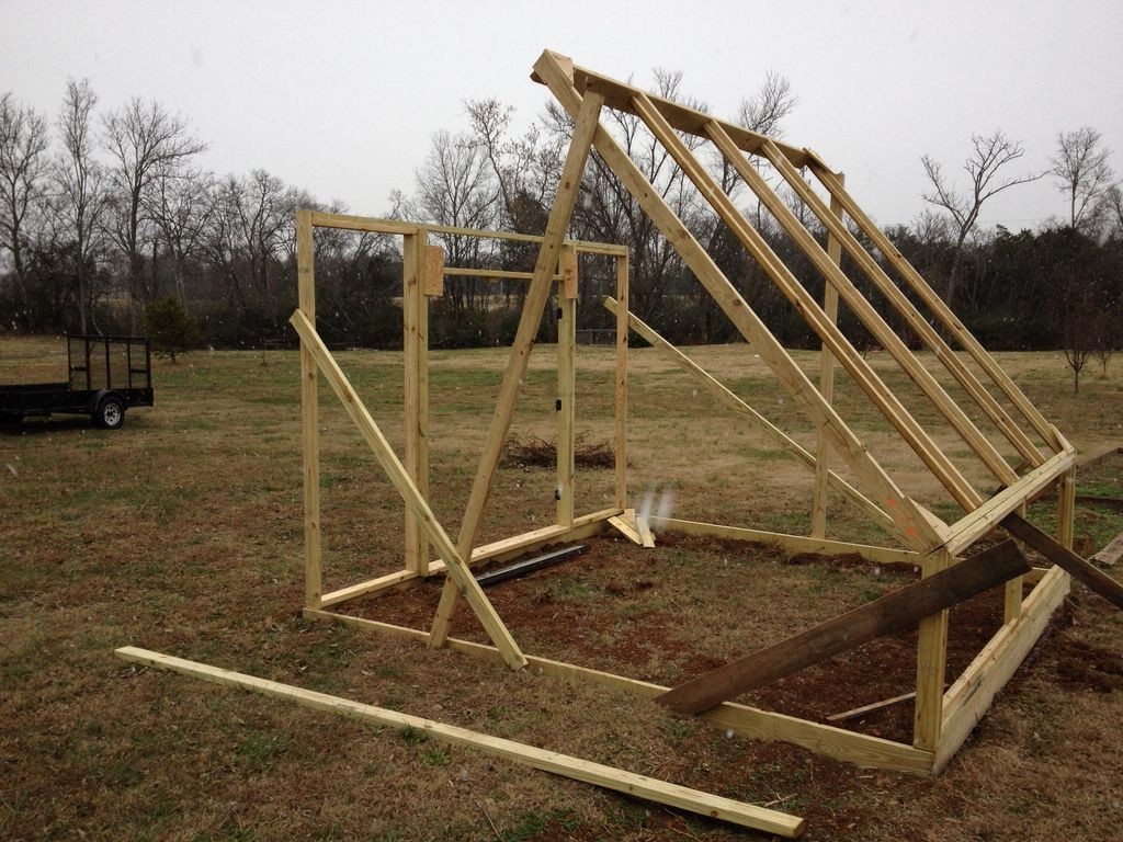 Теплица с оригинальным дизайном - фото 4