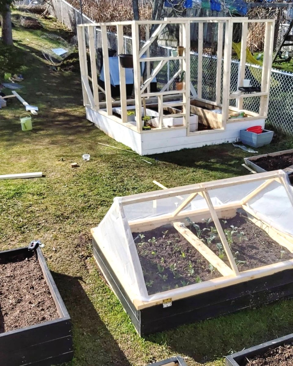 Оранжерея своими руками на даче - фото 3