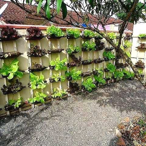 Что можно сделать из пластиковых бутылок? - фото 7