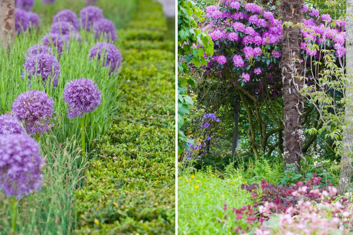 Вдохновение с горы Ашер - фото 5