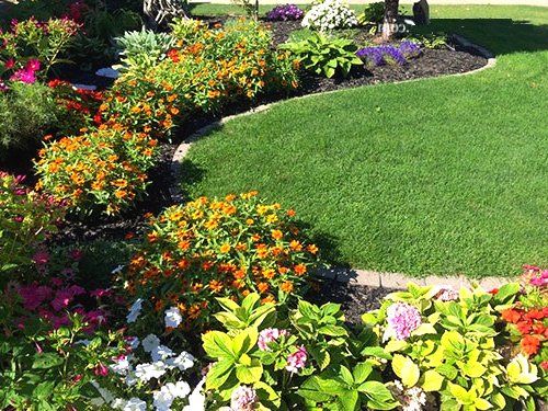 Улучшаем участок перед домом  - фото 14