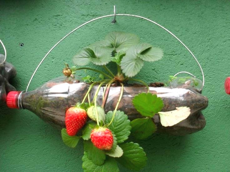 Что можно сделать из пластиковых бутылок? - фото 9