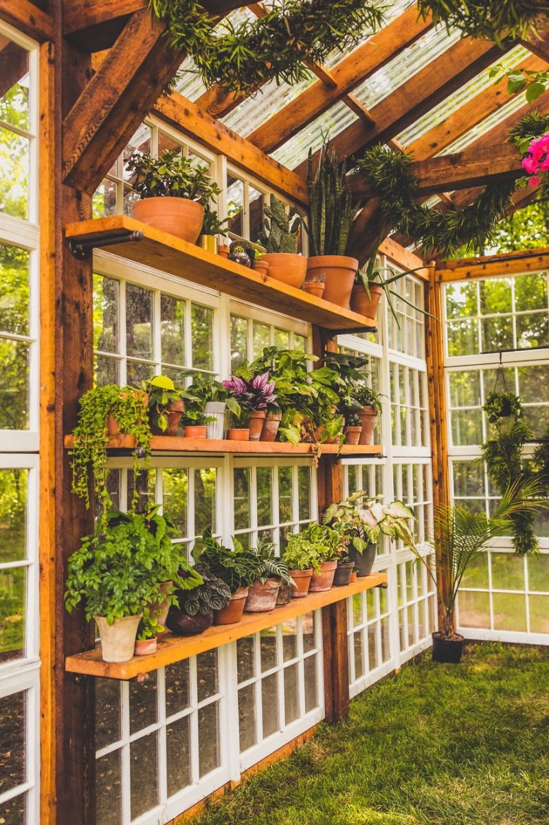 Удивительная оранжерея из старых окон - фото 26