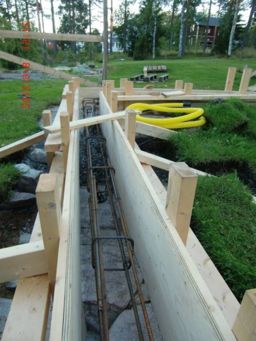 Оранжерея - фото 4