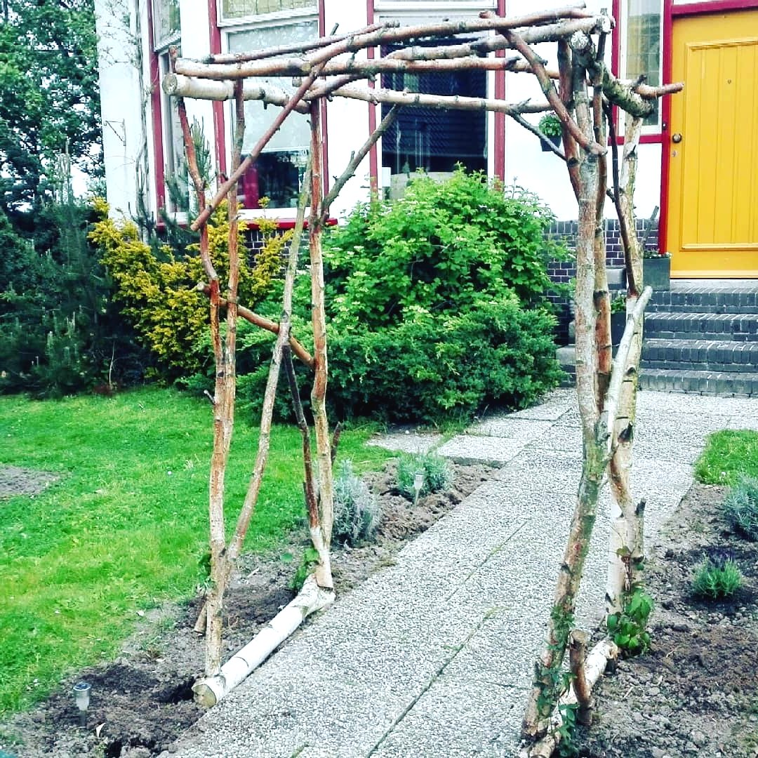 Садовая арка из веток - фото