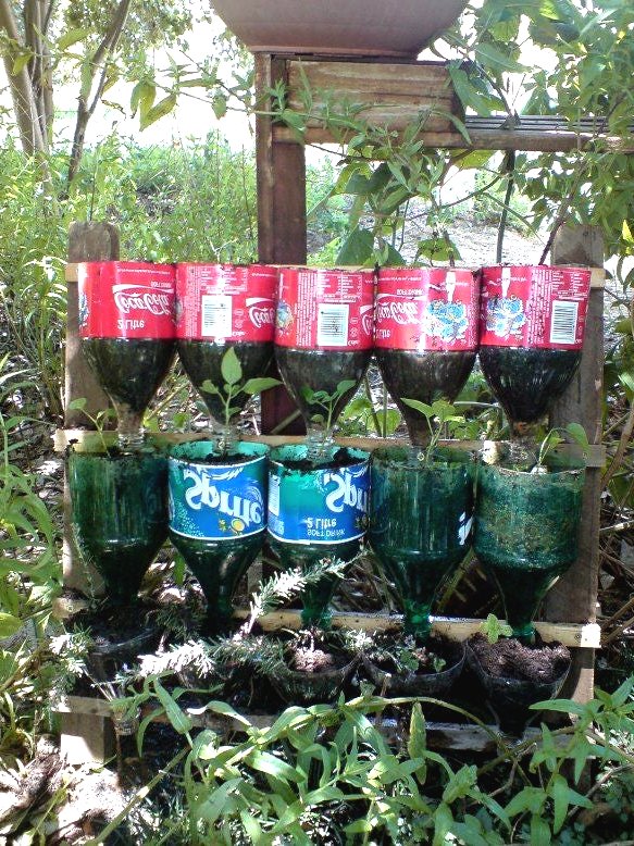 Вертикальный сад из пластиковых бутылок - фото