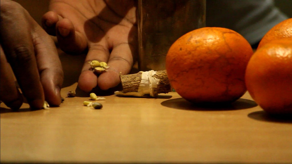 Как вырастить апельсиновое дерево из семян - фото 15