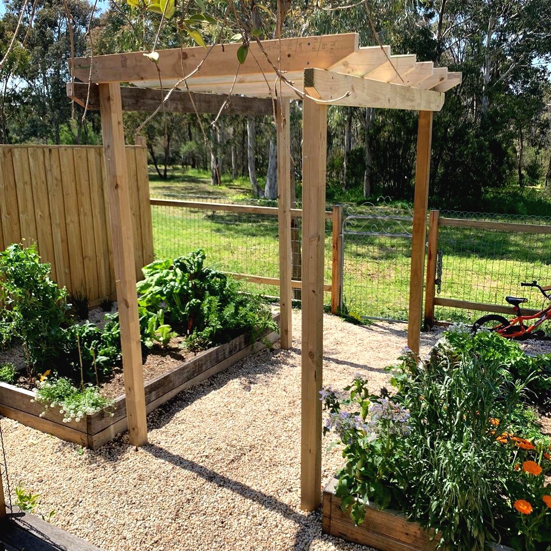 Пергола из дерева - фото 2