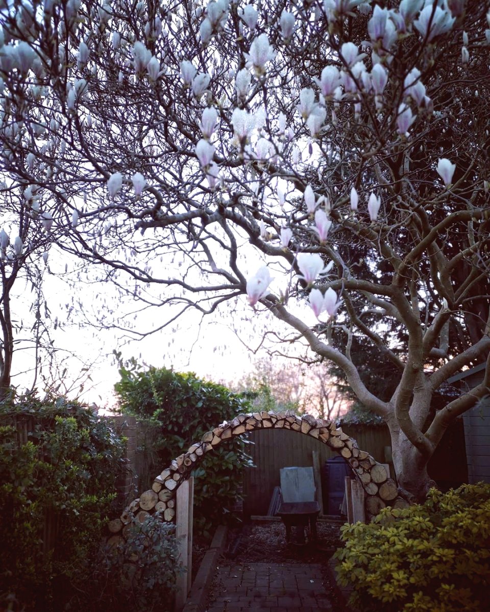 Арка садовая своими руками на даче - фото 8