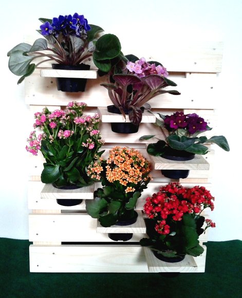 Вертикальный сад из горшков - фото 2