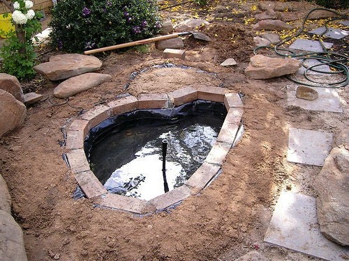 Садовый пруд - фото 5