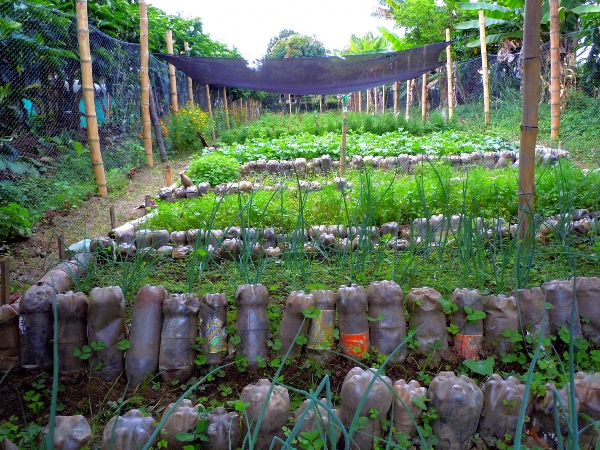 Бордюр из пластиковых бутылок - фото 3