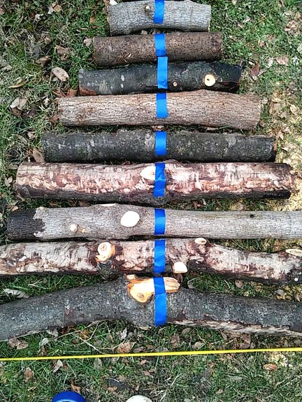 Новогодняя елка из веток - фото 3