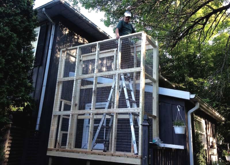 Дачный домик для кошки - фото 4