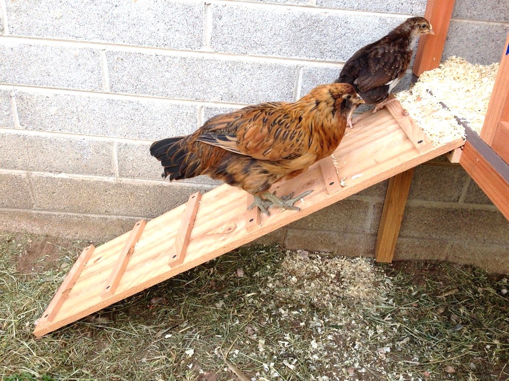 Курятник своими руками - фото 19