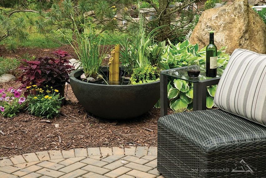 Мини пруд - фото 3