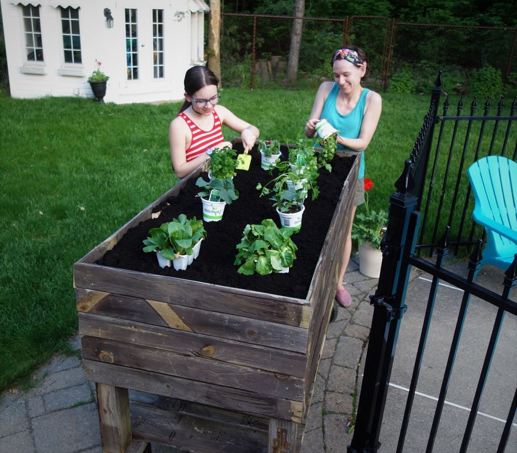 Грядка на колесах - фото 7